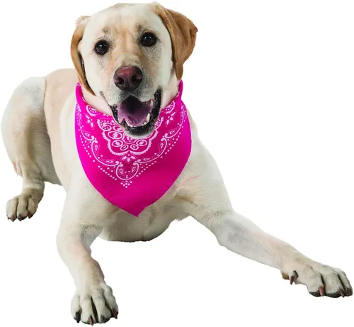 Vista 3 de Fun Express Bandanas de neón, paquete de 12 unidades, pañuelo tipo bandana occidental, pañuelos de vaquero de cachemira, bufanda para perro, bandana