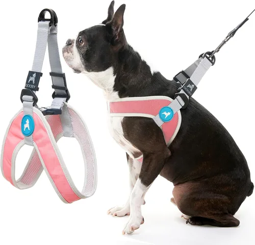 Vista 8 de Gooby Simple Step in III - Arnés para perro, verde, extra pequeño - Arnés para perros pequeños con chaqueta exterior resistente a los rasguños