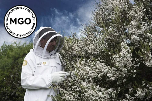 Vista 8 de MANUKA DOCTOR - Paquete económico monofloral de miel de manuka MGO 925+ y MGO 525+, miel 100% pura de Nueva Zelanda. Certificado. Garantizado.
