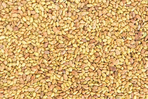 Vista 2 de Semillas de alfalfa, marca COOL BEANS N SPROUTS de 50 unidades. Sin OGM. Jardinería en casa.