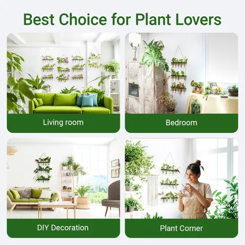 Vista 7 de Estación de propagación, terrario de plantas, regalos para amantes de las plantas para mujeres, soporte para cortar plantas, decoración del hogar