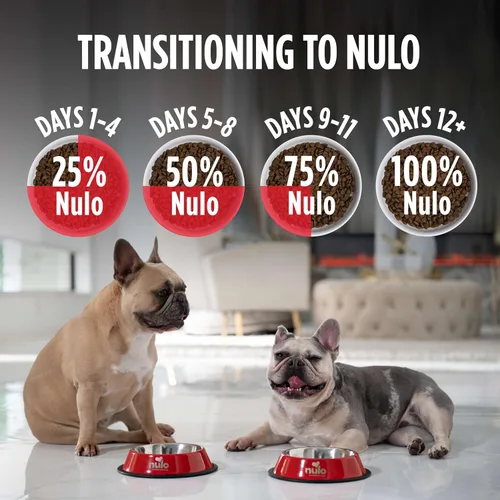 Vista 6 de Nulo Frontrunner - Alimento seco para perros, receta de carne de res alta en proteínas, cebada y cordero, croquetas naturales con granos antiguos
