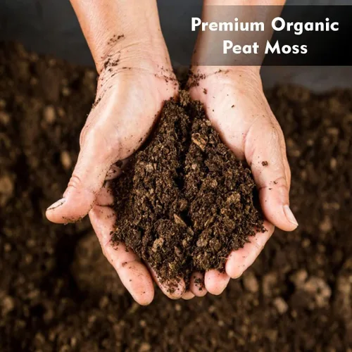 Vista 2 de Musgo de turba orgánico, 3.8 pies cúbicos - 100% musgo de turba Sphagnum, SEMI comprimido, para plantas en macetas y inicio de semillas - Jardinería