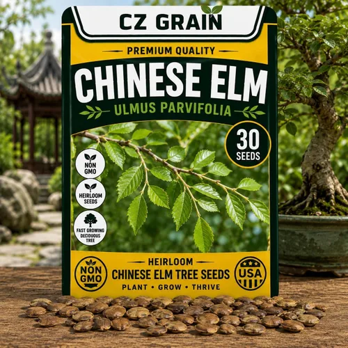 Vista 59 de CZ Grain Semillas para plantar, 40 pequeñas mezclas de calabaza