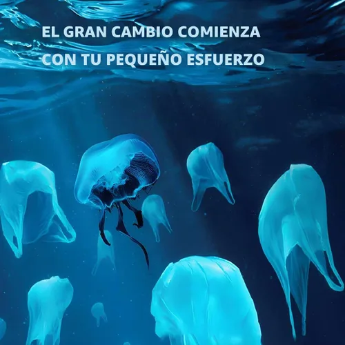 Vista 7 de KTOB [paquete de 50] Tazas de café compostables de 12 onzas con tapas y mangas kraft, combo de tazas de papel blanco desechables ecológicas