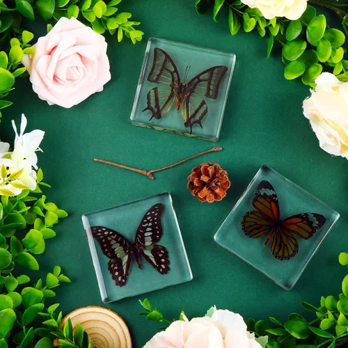 Vista 3 de 3 piezas de espécimen de mariposa real preservada, colección de resina de mariposa taxidermia, pisapapapeles de ciencia animal, muestras