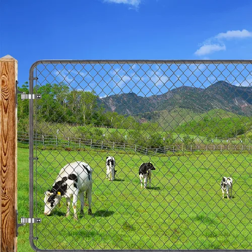 Vista 6 de Insaga Paquete de 2 bisagras de puerta de montaje en pared resistentes, bisagras de puerta de acero inoxidable 304 para granja, bisagra de puerta