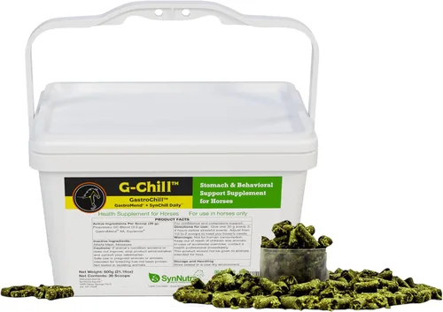 Vista 4 de G-Chill Soporte digestivo y composure para caballos – Combinación de GastroMend + SynNutra SynChill – 30 dosis – Apoya la integridad del estómago