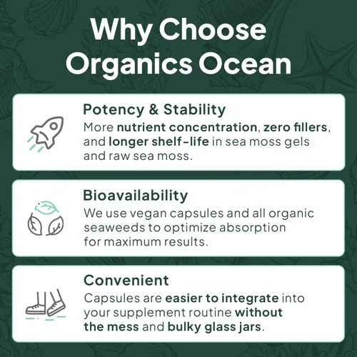 Vista 6 de Organics Ocean Shilajit para hombres y mujeres – Suplemento Shilajit con vitamina B12, cromo y selenio para desafiar la edad, la energía, el apoyo