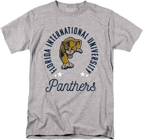 Vista 166 de Collegiate Distressed Mascot Unisex Adult T Shirt Collection 3 Universidad de Adelphi