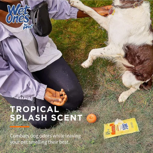 Vista 3 de Wet Ones Paquete Mixto de 18 Piezas de Toallitas Húmedas para Humanos y Mascotas, Aroma Tropical Splash 10 Paquetes de Toallitas Antibacterianas