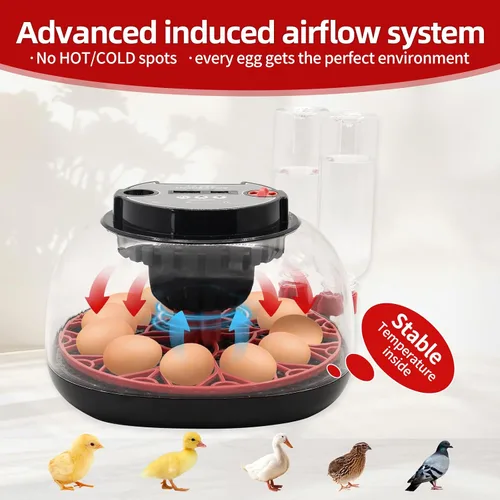 Vista 5 de Incubadora de 12 huevos con pantalla de humedad, incubadora de huevos con giro automático de huevos y recarga automática de botella de agua