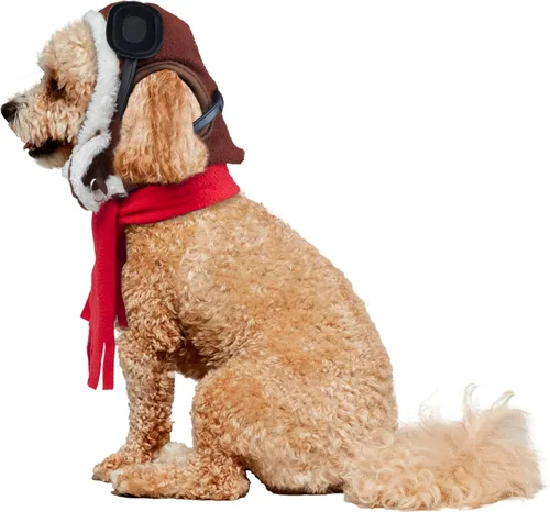 Vista 4 de Rubies Conjunto de sombrero y bufanda para mascotas de aviador para perros o gatos, S/M