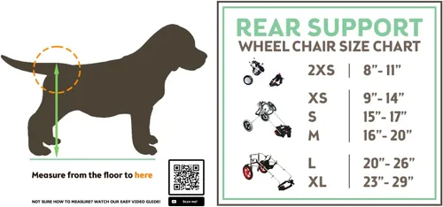 Vista 2 de Best Friend Mobility Silla de ruedas estándar para perros con soporte trasero FML Elite, grande