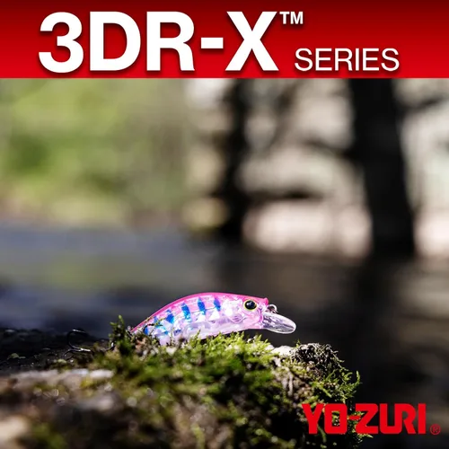 Vista 5 de YO-Zuri 3DR-X Jerkbait