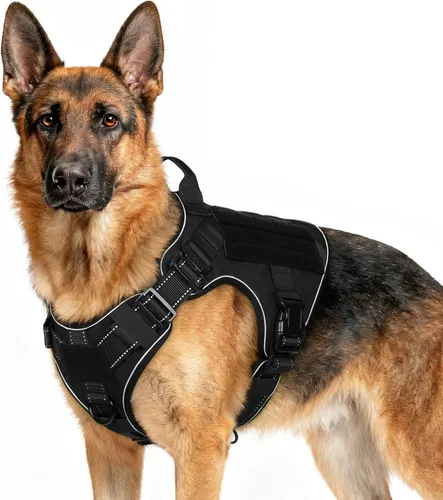 Vista 36 de rabbitgoo - Arnés táctico para perros pequeños, arnés resistente para mascotas con asa, chaleco de servicio sin tirones para razas pequeñas, chaleco