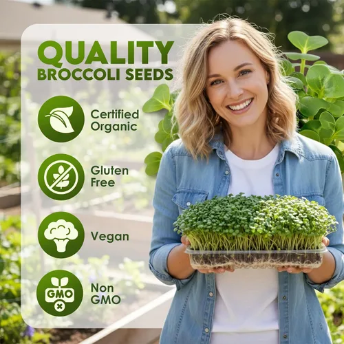 Vista 2 de Nature Jims Sprouts Semillas de brócoli orgánicas para germinar, certificadas sin OMG, ricas en sulforafano, semillas microverdes de crecimiento