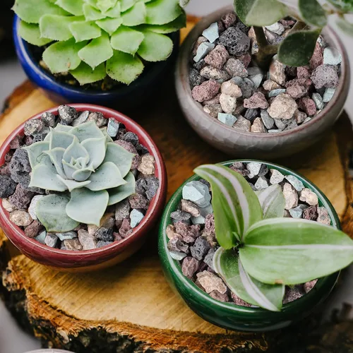 Vista 4 de Rocas de lava hortícola de 18 libras para plantas, rocas de cactus