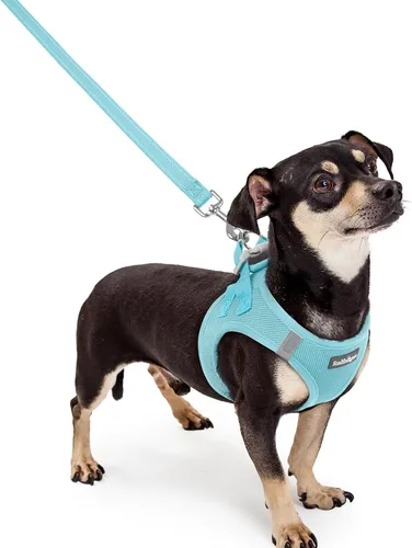 Vista 123 de rabbitgoo Arnés para perro de tamaño pequeño y juego de correa, chaleco Cachorros de manzana