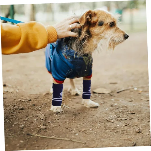 Vista 8 de 4 protectores de codo para mascotas, transpirables, de punto, calentadores de piernas para perros, mangas elásticas de apoyo