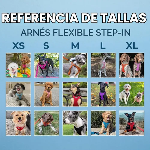 Vista 6 de [Usado] Best Pet Supplies Voyager - Arnés ajustable, transpirable, antitirones, para perros pequeños, medianos y grandes, para caminar, trotar Azul