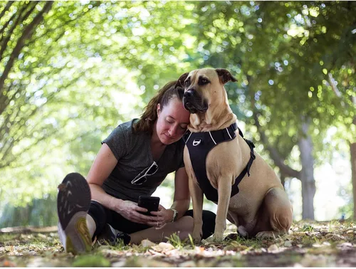 Vista 2 de Arnés para perro sin tirones con asa, fácil de caminar, 2 clips para correa, 3 hebillas sin estrangulamiento, acolchado suave para perros pequeños