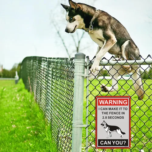 Vista 7 de Letrero de advertencia de pastor alemán con texto en inglés «Beware Of Dogs» con texto en inglés «I Can Make It to the Fence in 2.8 Sec. Letrero