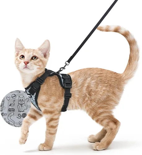 Vista 87 de rabbitgoo Cat Harness and Leash Set, Escape Proof Vest, XXS, Berry Pounce Soft Breathable Mesh, No-choke Adjustable Fit, Snap Buckles, Sturdy