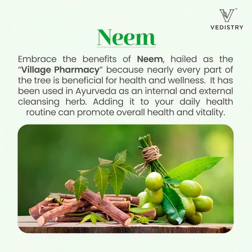 Vista 2 de Vedistry Suplementos de hojas de neem Tabletas de hojas de neem de 1100 mg que apoyan la piel clara, la desintoxicación y la salud inmunológica