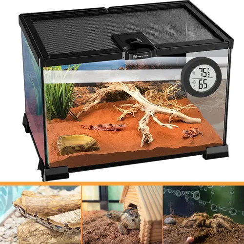 Vista 2 de Accesorios para tanque de reptiles, paquete de 2 termómetros de tanque de dragón barbudo, medidor de humedad para leopardo Gecko, araña saltadora