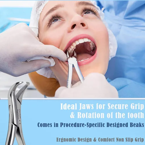 Vista 2 de Pinzas universales de extracción dental alemana, para extraer molares inferiores del hueso alveolar, mandíbulas dentadas, hechas de acero inoxidable