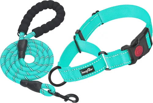 Vista 7 de haapaw Martingale - Collar de perro con hebilla de liberación rápida reflectante para perros pequeños, medianos y grandes