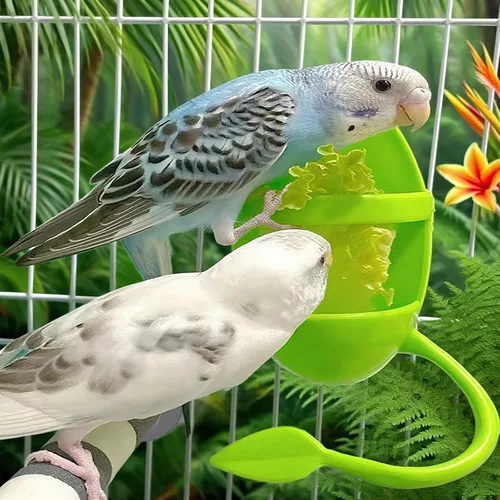 Vista 7 de 2 soportes para huesos de cuttlebone para jaulas de pájaros, soporte de plástico para alimentos para huesos de cuttlebone para pájaros, periquitos