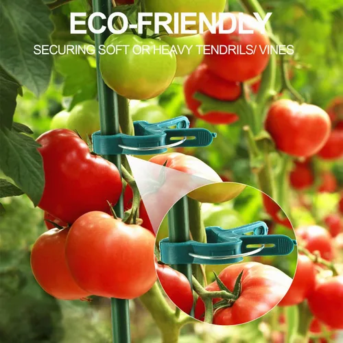 Vista 7 de Yinghezu 120 clips de soporte para plantas, flores y vides, clips de soporte para plantas de tomate de jardín para apoyar tallos, enredaderas