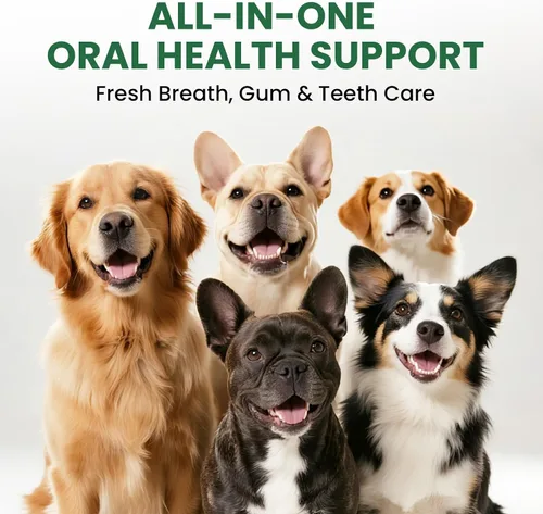 Vista 7 de Pawfect Vita Polvo dental para perros y gatos: ambientador de aliento definitivo y cuidado bucal – Elimina el mal aliento, controla la placa
