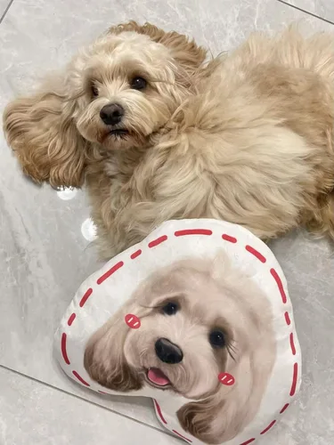 Vista 4 de Almohadas personalizadas para retratos de mascotas con fotos, almohada de perro 3D dibujada a mano, almohada personalizada de cara de gato