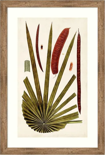 Vista 11 de Amanti Art Vision Studio - Lienzo decorativo para pared, 24 x 17 pulgadas, variedades de hojas VI por Vision Studio, arte de pared de naturaleza
