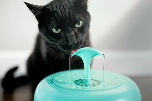 Vista 5 de IntelliLeash PURRoducts Purrfect - Fuente de agua para gatos y perros pequeños con filtro de 5 capas de primera calidad que dura hasta dos meses.