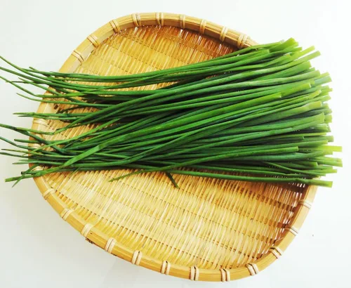 Vista 6 de Más de 400 Semillas de Cebolleta de Ajo Cebolleta - Verde Vegetal