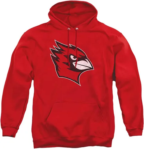 Vista 38 de Distressed College Primary Logo Adult Pullover Hoodie Collection 1 Universidad Estatal de Albany