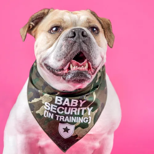 Vista 2 de Bandana de seguridad para perros de entrenamiento para bebé, triángulo ajustable 100% algodón, fabricada en Estados Unidos, para recién nacido