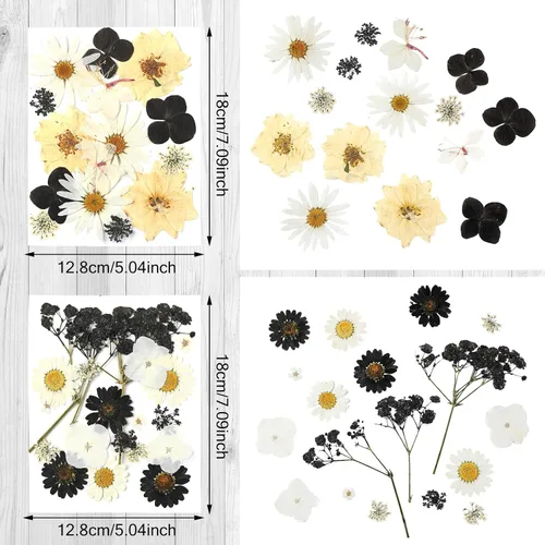 Vista 3 de Nuanchu Flores secas prensadas negras para manualidades, flores secas góticas, flores silvestres prensadas naturales a granel con pinzas para molde