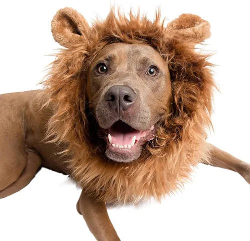 Vista 4 de Pet Krewe - Disfraz de melena de león para perro, para cuello de 8 a 14 pulgadas, melena de león para perros pequeños, ideal para Halloween