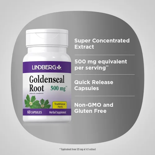 Vista 4 de Lindberg Cápsulas de raíz Goldenseal 500 mg 60 cápsulas Hierba tradicional Suplemento de extracto Sin OMG, sin gluten