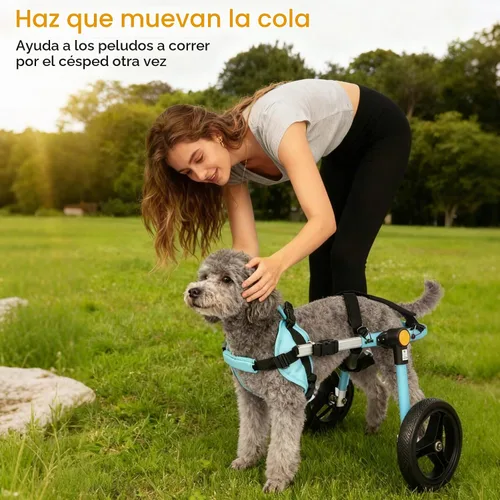 Vista 6 de TailWaggers Silla de ruedas para perros para patas traseras Ayuda de movilidad ajustable Ruedas todo terreno