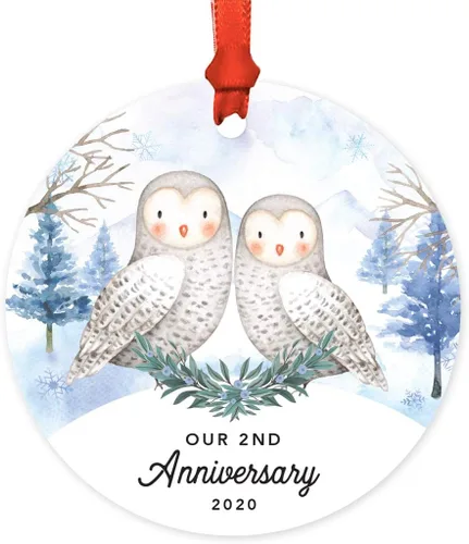 Vista 50 de Andaz Press Adorno redondo de recuerdo de Navidad, nuestro 10 aniversario 2025, búhos de nieve de invierno en acuarela, 1 paquete, incluye cinta