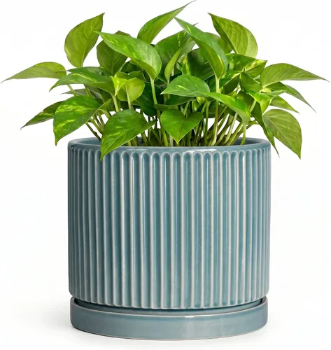 Vista 67 de 8 Inch Flower Pot, Ceramic Planters, Round Plant Pot, Beige