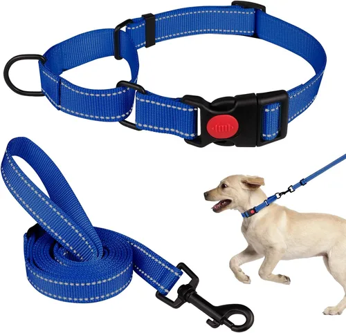 Vista 7 de Set de Collar y Correa Martingale para Perros Collares de Martingale para Perros Collar de Martingale Reflectante para Perros Pequeños, Medianos
