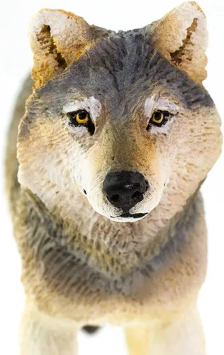 Vista 6 de Safari Ltd. Figura de lobo gris, figura realista de lobo de plástico de 4 pulgadas, juguete educativo para niños, niñas y niños a partir de 3 años