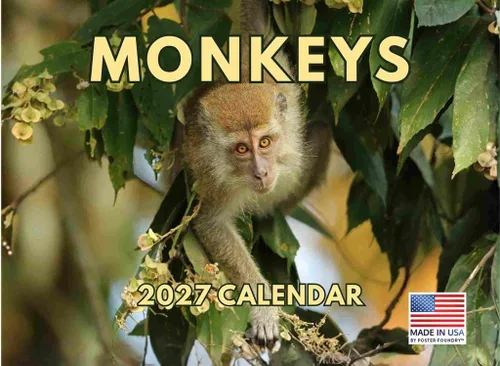 Vista 36 de Calendario mensual de pared de alpaca 2025 Fabricado en Estados Unidos